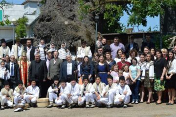 Simpozionul „Arborii ocrotiți, simbol al vitalității, diversității și frumuseții, ediția a II-a, la Liceul Tehnologic Cajvana