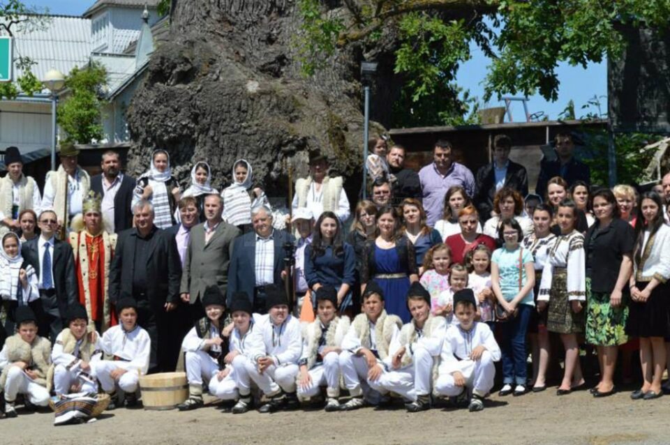 Simpozionul „Arborii ocrotiți, simbol al vitalității, diversității și frumuseții, ediția a II-a, la Liceul Tehnologic Cajvana