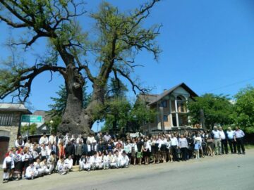„Arborii ocrotiți, simbol al vitalității, diversității și frumuseții”, ediția a II-a, la Liceul Tehnologic Cajvana