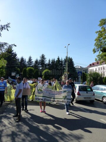 „DNA, DNA, asta e ancheta ta!”, strigătul sucevenilor veniți să spună „Stop” tăierilor ilegale de păduri
