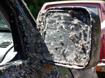 La Vatra Dornei a avut loc bătălia "monștrilor” 4 X 4