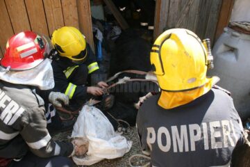 Tăurașul a fost extras după mai bine de o oră de muncă a pompierilor