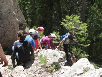 Excursie gratuită pentru copiii care participă la cateheză, la Biserica „Sf. Dumitru” din Suceava