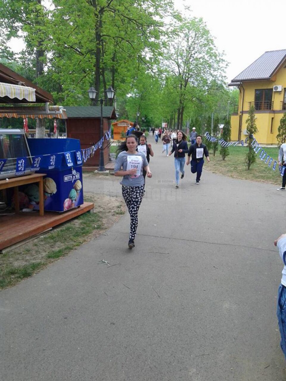 Crosul s-a desfășurat în Parcul Ariniș din Gura Humorului