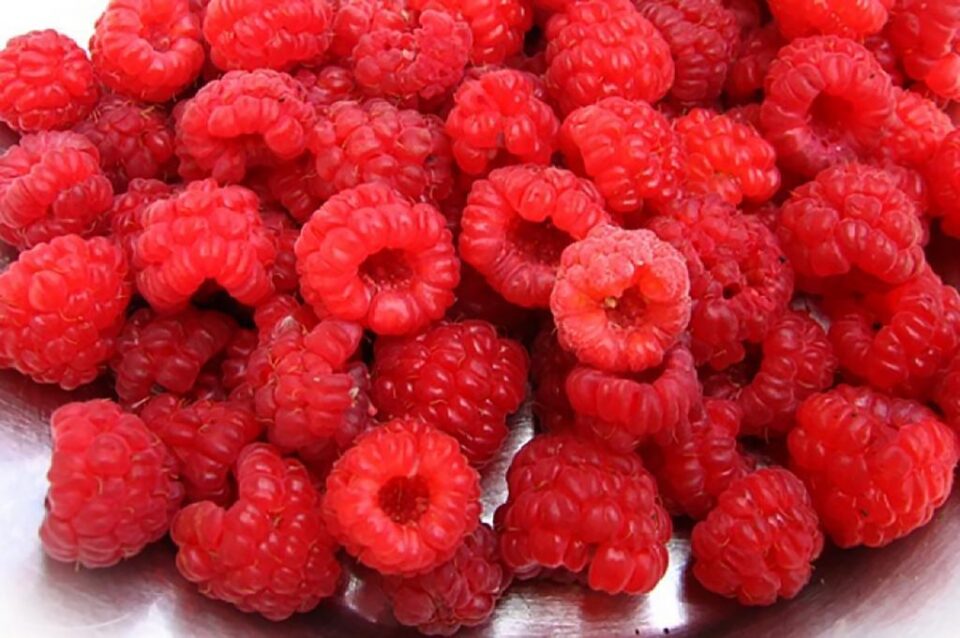 Dulceață de zmeură (rețeta bunicii)