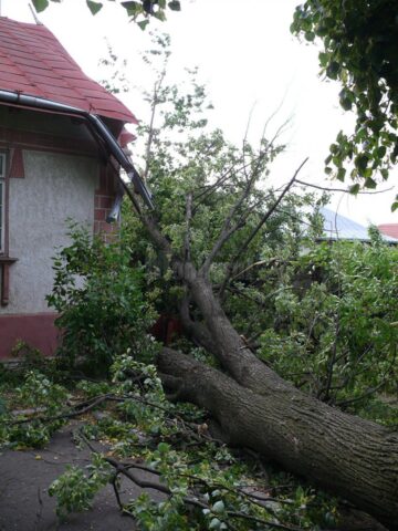 Haos creat de vânt la Fălticeni