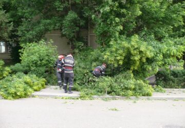 Haos creat de vânt la Fălticeni