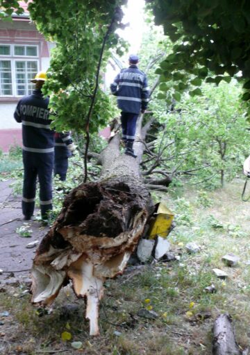 Haos creat de vânt la Fălticeni