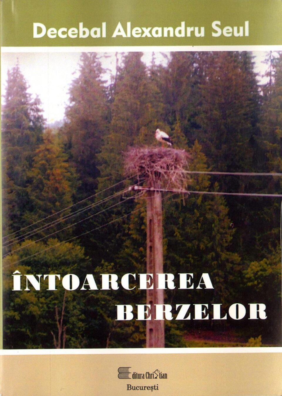 Decebal-Alexandru Seul: „Întoarcerea berzelor”