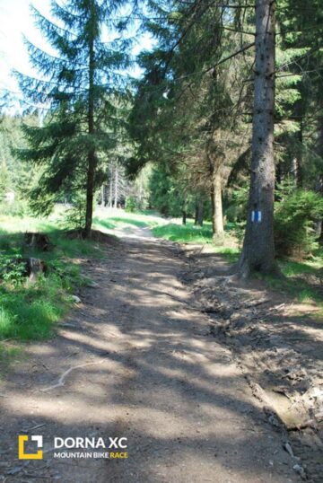 Aproximativ 120 de concurenți, înscriși până în prezent la competiția națională de mountain bike „Dorna XC”