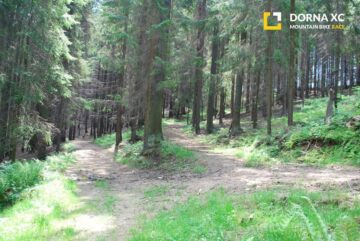 Aproximativ 120 de concurenți, înscriși până în prezent la competiția națională de mountain bike „Dorna XC”