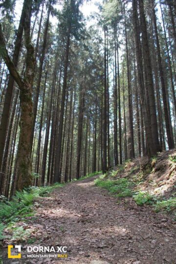 Aproximativ 120 de concurenți, înscriși până în prezent la competiția națională de mountain bike „Dorna XC”
