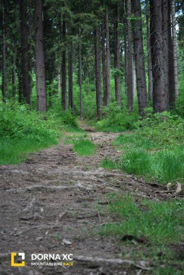 Aproximativ 120 de concurenți, înscriși până în prezent la competiția națională de mountain bike „Dorna XC”