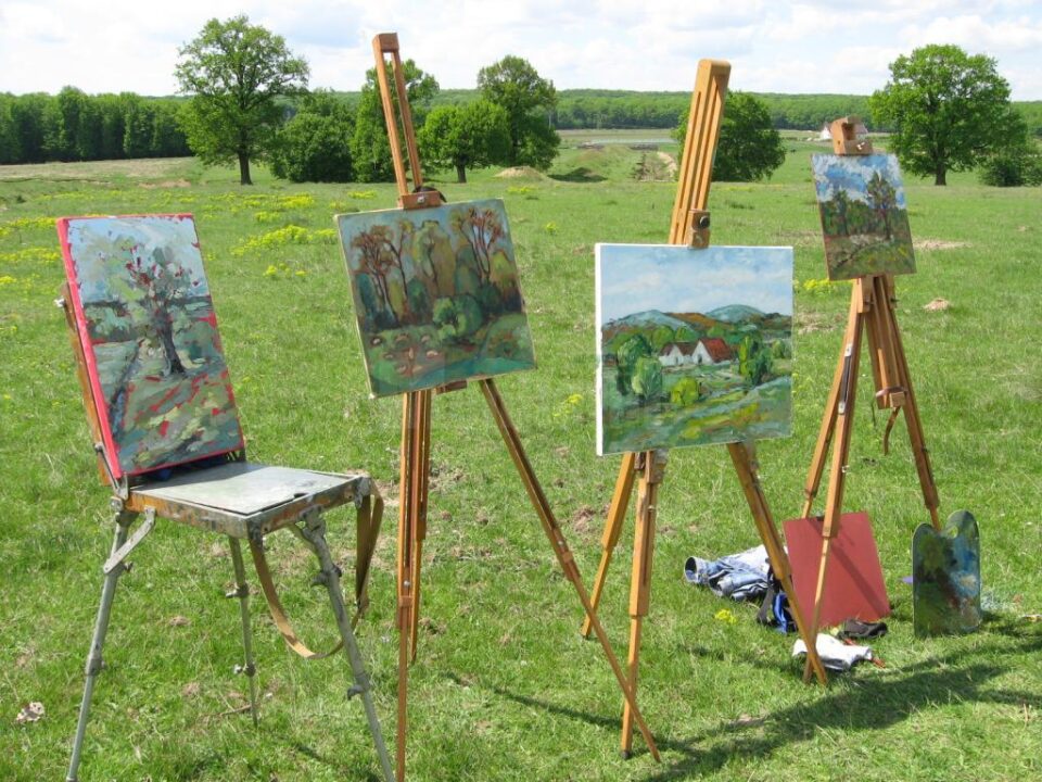 Tabără internațională de artă plastică „Lumina Nordului”
