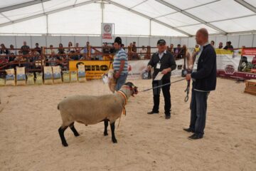 Crescători de vaci, capre și cai din județ, premiați la primul târg de zootehnie al României