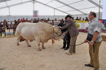 Crescători de vaci, capre și cai din județ, premiați la primul târg de zootehnie al României