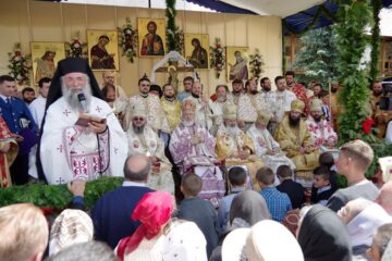 Invitați la Putna