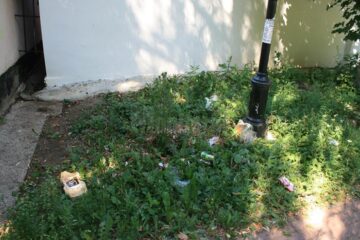 Gunoaie aruncate în parcul Sahia