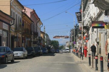 Rădăuți, orașul trandafirilor, a ajuns un sat fără stăpân