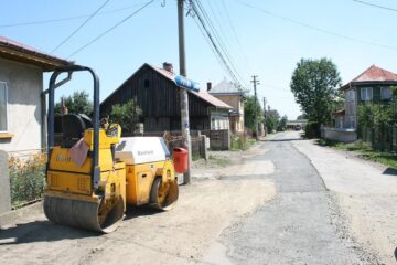 Rădăuți, orașul trandafirilor, a ajuns un sat fără stăpân