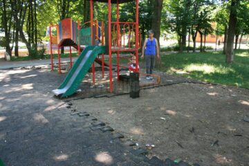 Rădăuți, orașul trandafirilor, a ajuns un sat fără stăpân