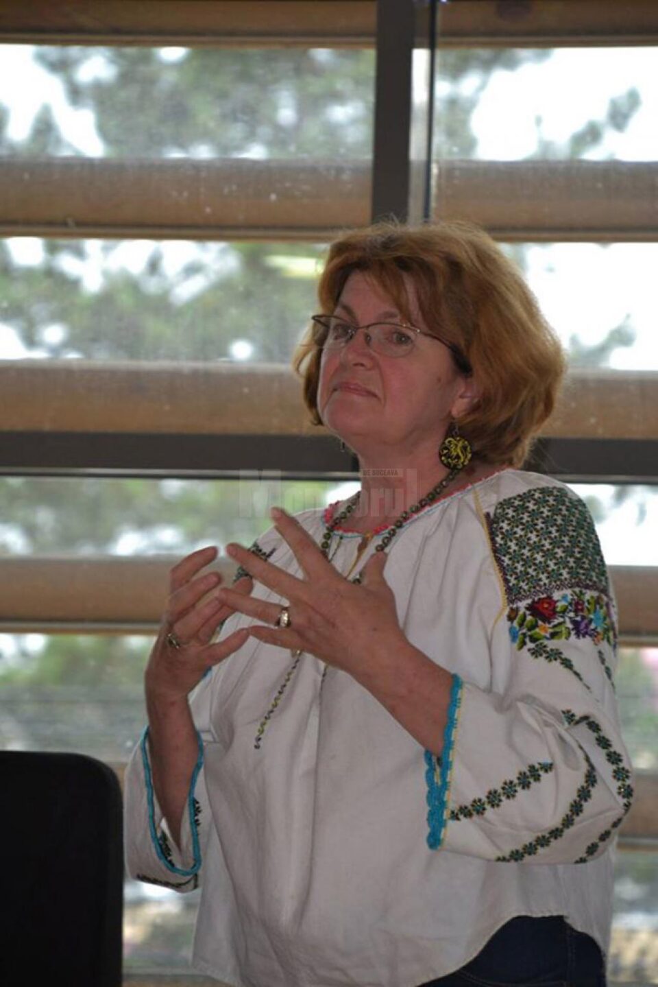 Purtătoarea de cuvânt a DGASPC Suceava, Nicoleta Daneliuc