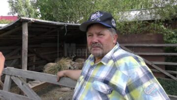 Vasile Semeniuc, păgubitul