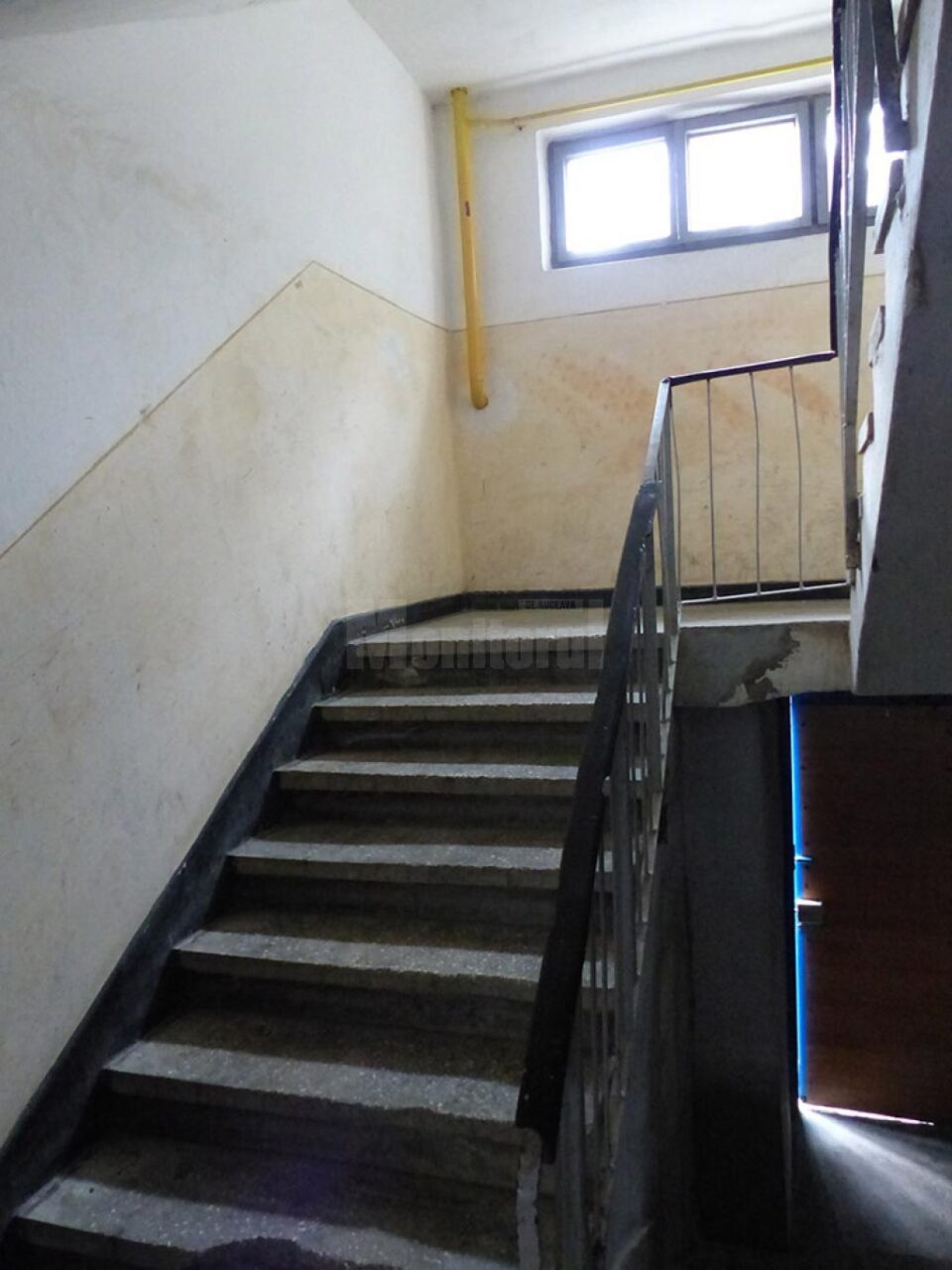Trei în unu: angajat al primăriei, președinte și administrator de asociație și patron de firmă în relații de afaceri cu asociația pe care o controla