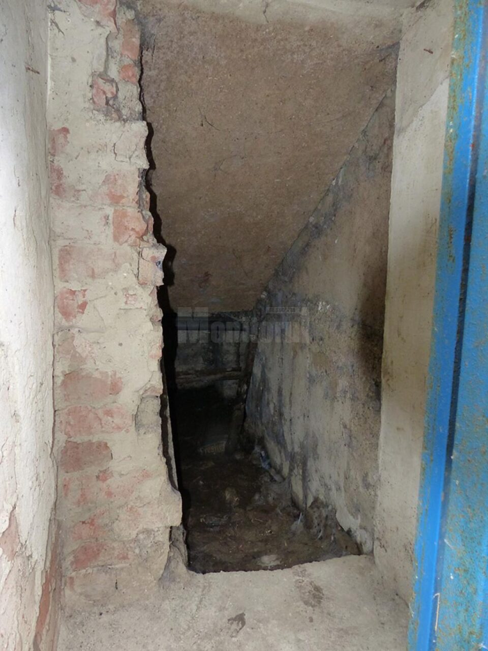 Așa arată subsolul renovat de Vasile Dumitraș