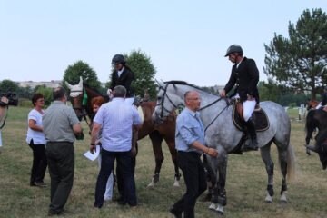 „Caii zburători” de la Rădăuți