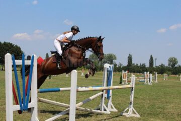 „Caii zburători” de la Rădăuți