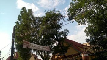 Tornada a purtat acoperișul peste copacii înalți de aproape 20 de metri de pe marginea șoselei