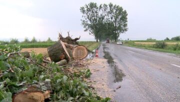 Doi tineri arși, o bătrână omorâtă de trăsnet, iar doi soți, la spital, după ce casa li s-a făcut scrum tot de la un fulger