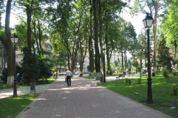 Tânărul a fost găsit inconștient, sâmbătă dimineață, pe o alee din parcul de peste drum de Prefectura Suceava Foto: ro.wikipedia.org