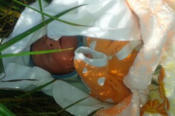 Bebelușul, de sex masculin, a fost preluat de un echipaj de ambulanță și internat la spitalul din Fălticeni, la secția Obstetrică Ginecologie, medicii stabilind că micuțul este în afara oricărui pericol