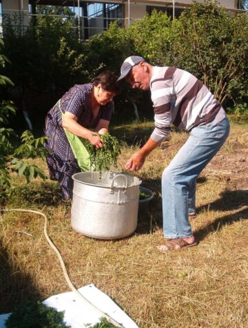 În comunitatea armeană suceveană a început prepararea hurutului, ingredientul special pentru supa de urechiușe