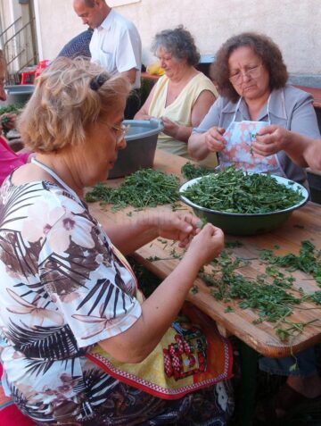 În comunitatea armeană suceveană a început prepararea hurutului, ingredientul special pentru supa de urechiușe
