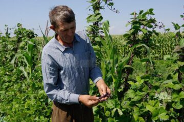 Stațiunea experimentală „Mătrășoaia”