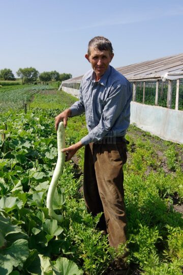 Stațiunea experimentală „Mătrășoaia”