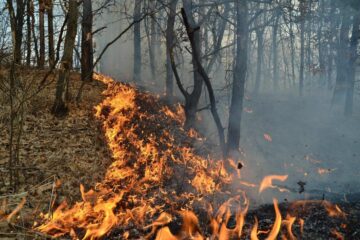 Cinci incendii de vegetație, care au cuprins peste zece hectare, în patru zile