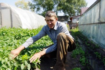 Stațiunea experimentală „Mătrășoaia”