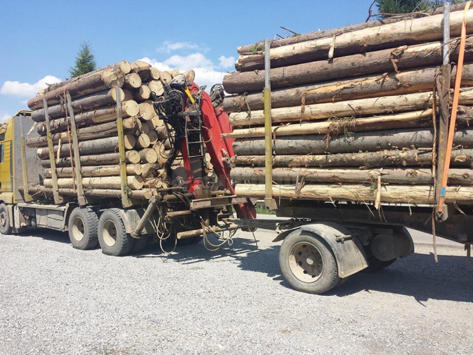 Vehiculul greu transporta bușteni a căror lungime depășea cu mult perimetrul remorcii