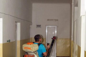 Firmele de dezinsecție sunt asaltate de suceveni cu cereri de a-i scăpa de musafirii nedoriți