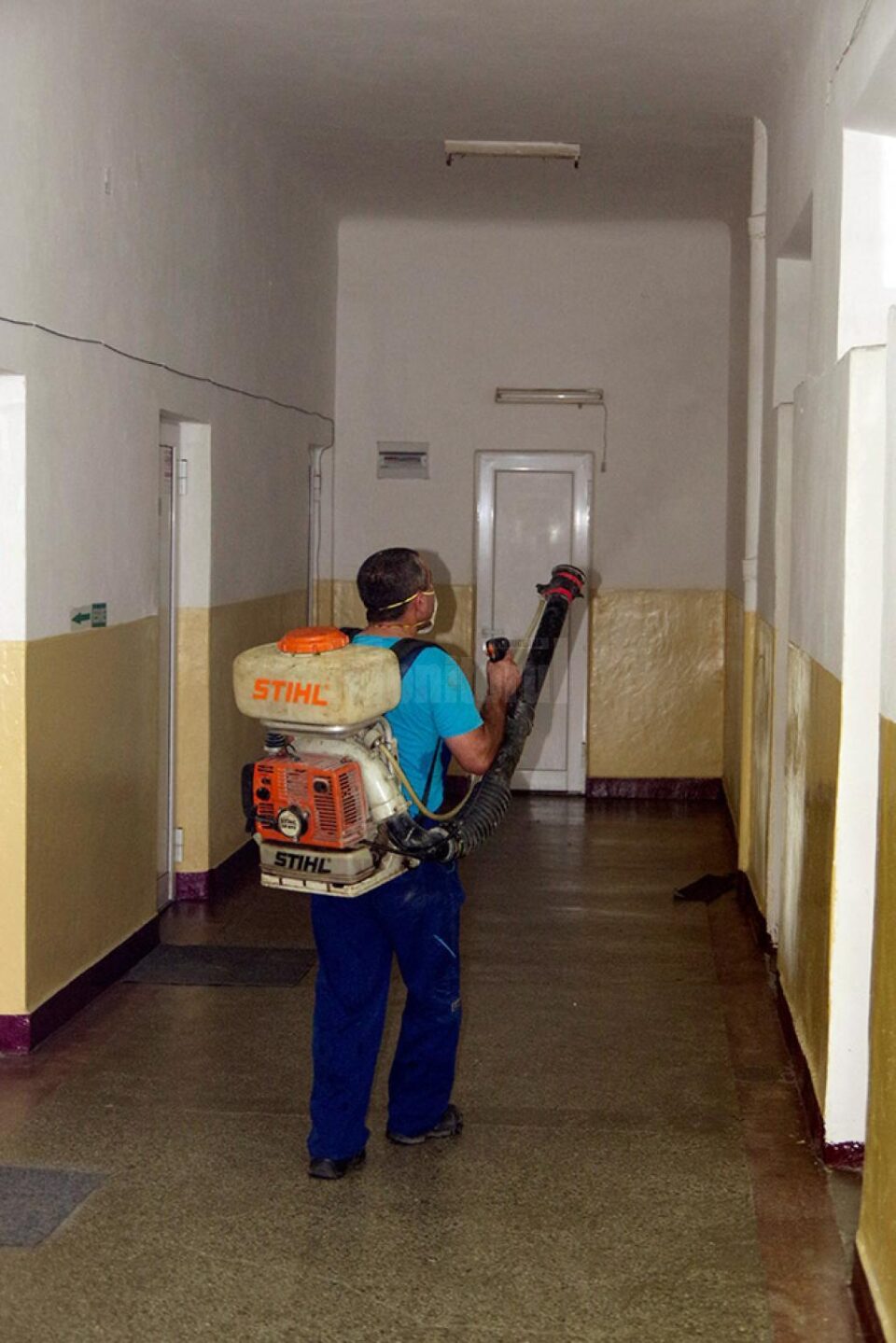 Firmele de dezinsecție sunt asaltate de suceveni cu cereri de a-i scăpa de musafirii nedoriți