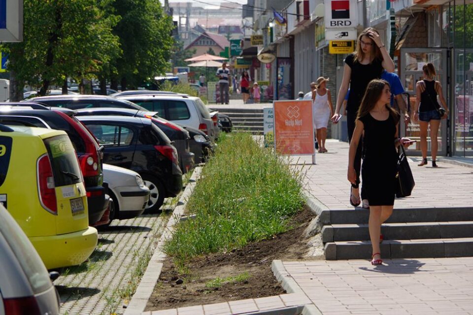 Neîngrijite cum trebuie, spațiile verzi nou-create s-au transformat în junglă urbană