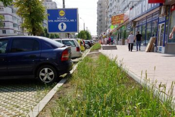 Neîngrijite cum trebuie, spațiile verzi nou-create s-au transformat în junglă urbană