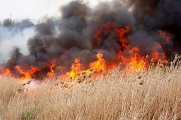 Flăcările au afectat în total 13 hectare de vegetație uscată