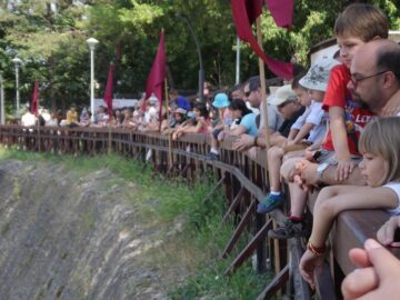 Festivalul de Artă Medievală „Ștefan cel Mare”