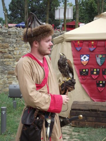 Festivalul de Artă Medievală „Ștefan cel Mare”