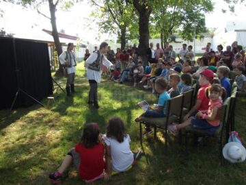Festivalul de Artă Medievală „Ștefan cel Mare”